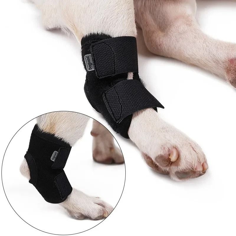 Attelle Articulaire Orthopédique pour Chien – Image 3