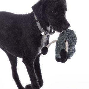 Jouet pour chien -Buddy Sheep- HKM