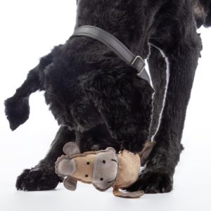 Jouet pour chien -Buddy Horse- HKM