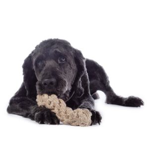 Jouet à tirer pour chien en corde HKM