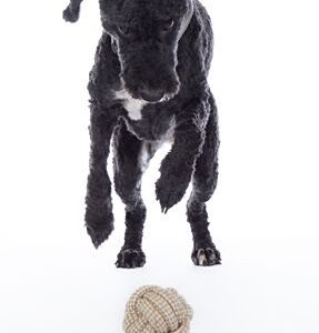 Balle pour chien en corde HKM