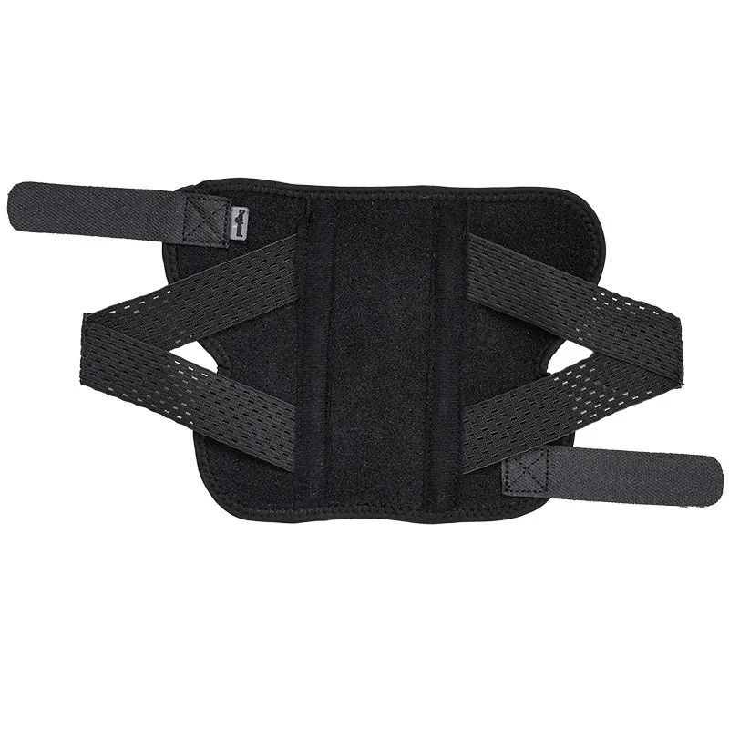 Attelle Articulaire Orthopédique pour Chien – Image 2