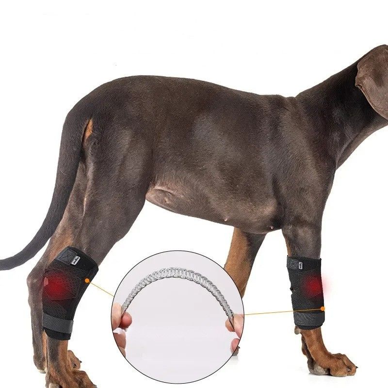 Attelle Articulaire Orthopédique pour Chien – Image 6