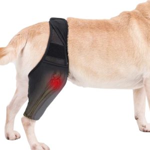 Genouillère Orthopédique pour Chien