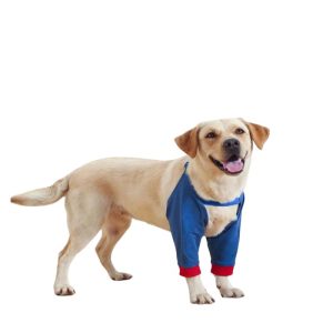 Genouillère Orthopédique Soulage Douleur pour Chien