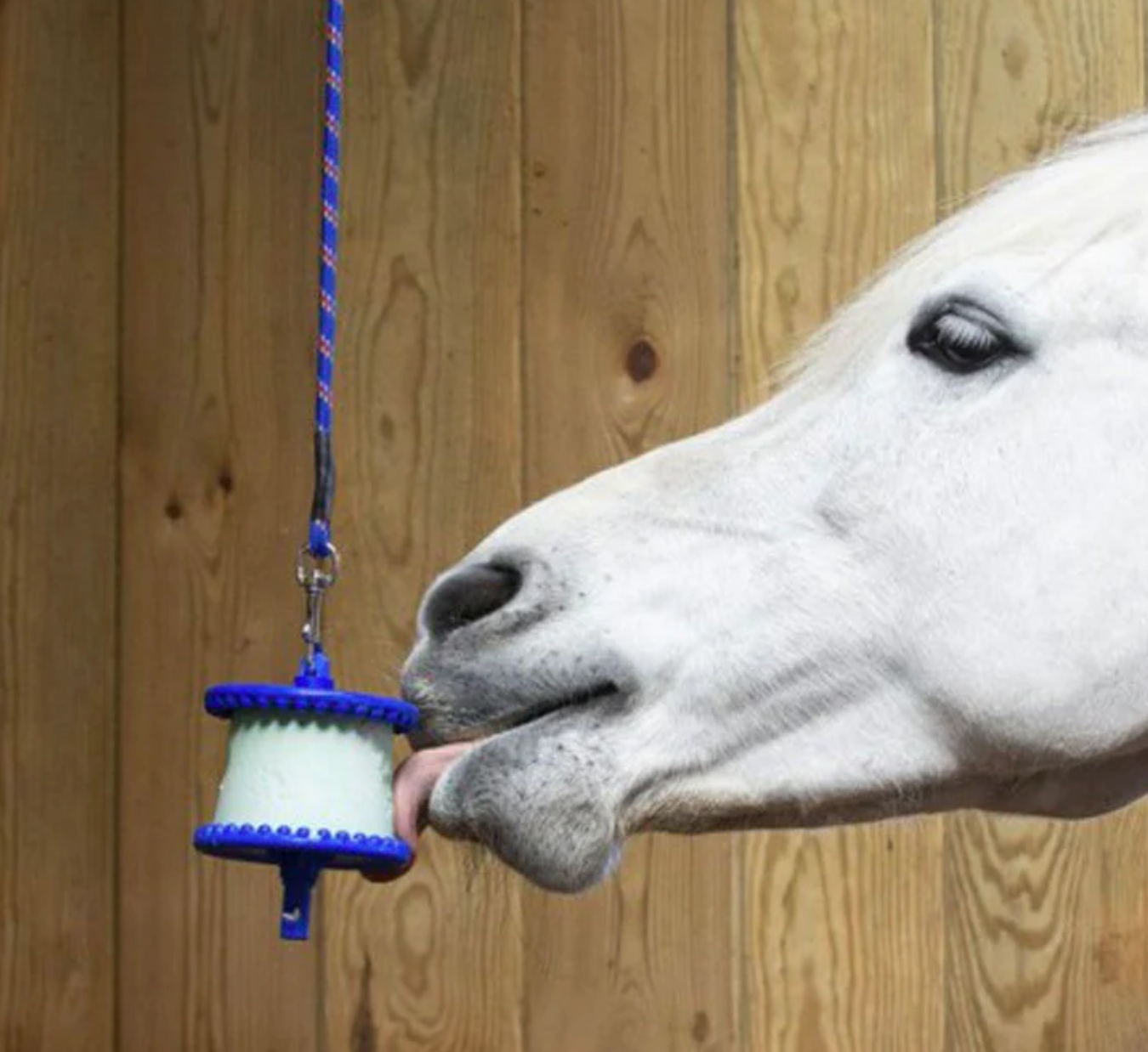 Likit – Support de pierres friandises divertissant