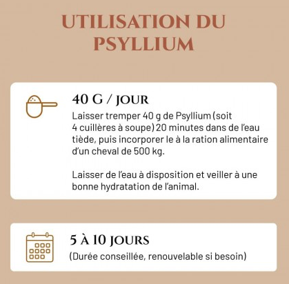 Psyllium Blond 400Gr – Image 3
