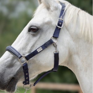 Licol Aruba by HKM ref: 14597