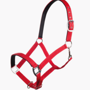 Licol Charming HKM Ref 13429