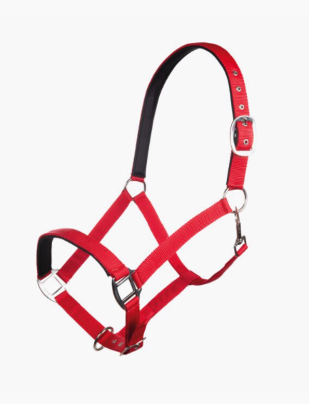 Licol Charming HKM Ref 13429 – Image 2