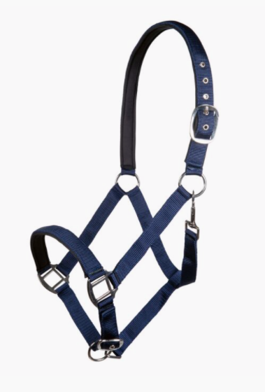 Licol Charming HKM Ref 13429 – Image 5