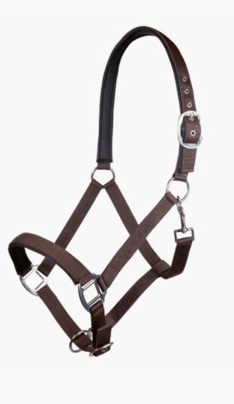 Licol Charming HKM Ref 13429 – Image 6