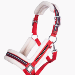 Licol Equine Sport Rouge ref: 13300