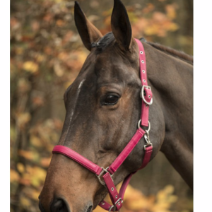 Licol LAmi-Cell LC Framboise Ref: 555008