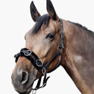 Caveçon Nylon Rembourré HKM Ref: 1167