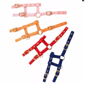 Licol Mini Foal Norton Ref: 510033