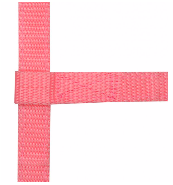 Licol Mini Foal Norton Ref: 510033 – Image 5