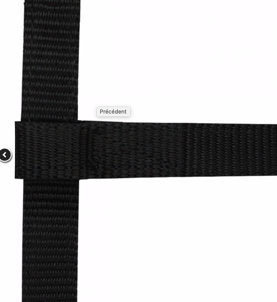 Licol Mini Foal Norton Ref: 510033 – Image 4