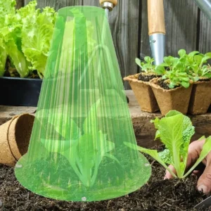 Cloche de protection transparente pour jeunes pousses – Accélérez la croissance et protégez efficacement vos plantations