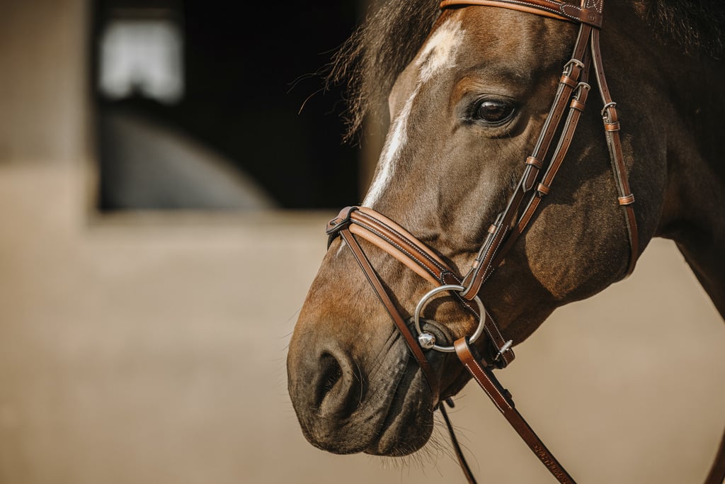 ERIC THOMAS Bridon Work coloris havane avec rênes – Poney- 301906118 – Image 3