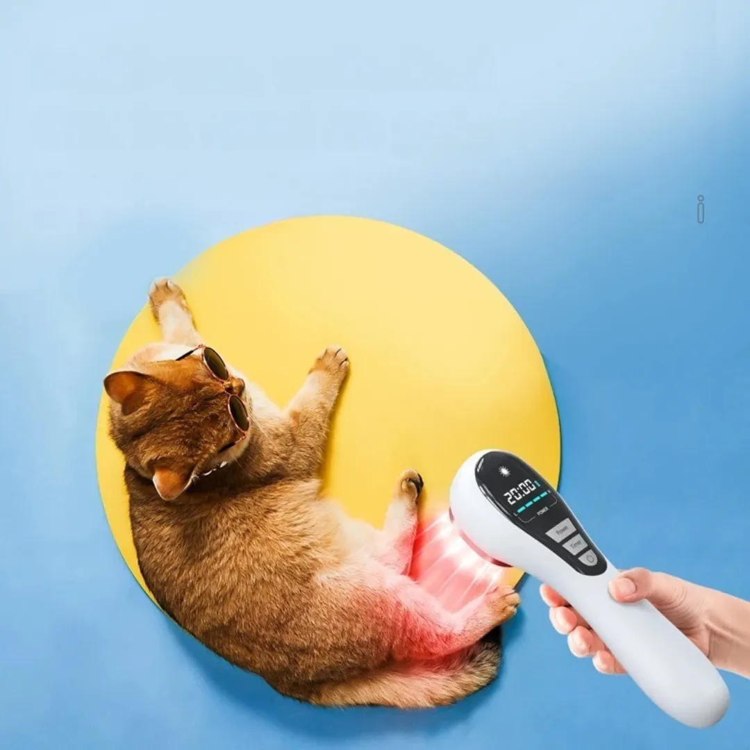 Equipement de physiothérapie au laser froid – Soulage les douleurs rapidement et stimule la récupération musculaire – Image 4