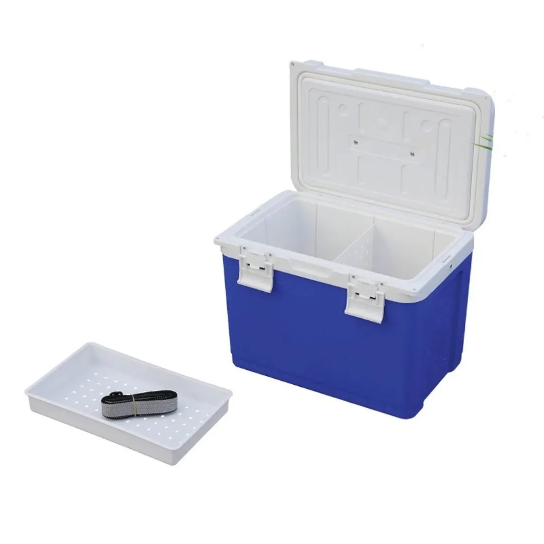 Glacière électrique grande capacité plage – Gardez vos boissons et aliments au frais toute la journée – Idéale pour sorties et camping – Image 4