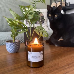 Bougie parfumée naturelle faite main en cire d&rsquo;huile d&rsquo;olive idéale pour votre décoration avec sa mèche en bois et son pot en verre ambré