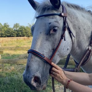 Muserolle et Frontal en Cuir de Poisson Sur Mesure – De Cuirs et de Crins