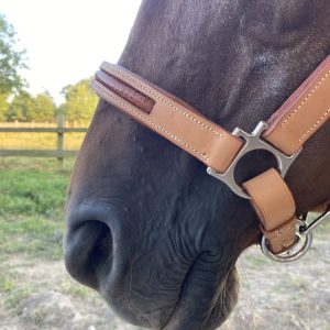 Licol de Sellier Cheval en Cuir Naturel avec Insert en Iguane et Tetière Anatomique – De Cuirs et de Crins