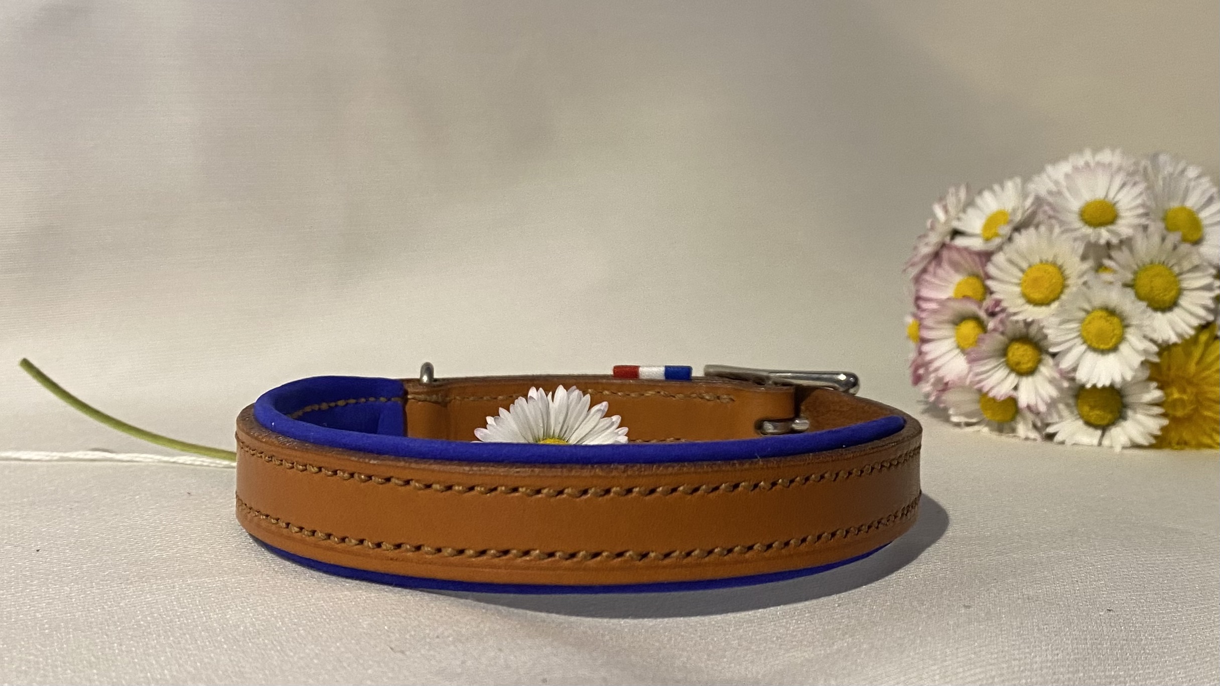 Collier Doublé pour chien Artisanal Erithacus Marron et Bleu – Image 2