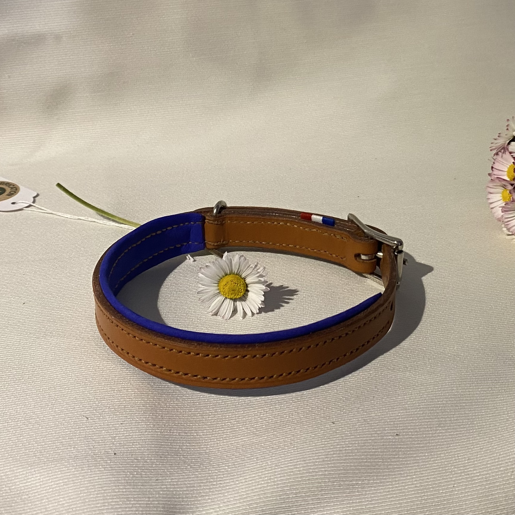 Collier Doublé pour chien Artisanal Erithacus Marron et Bleu – Image 3