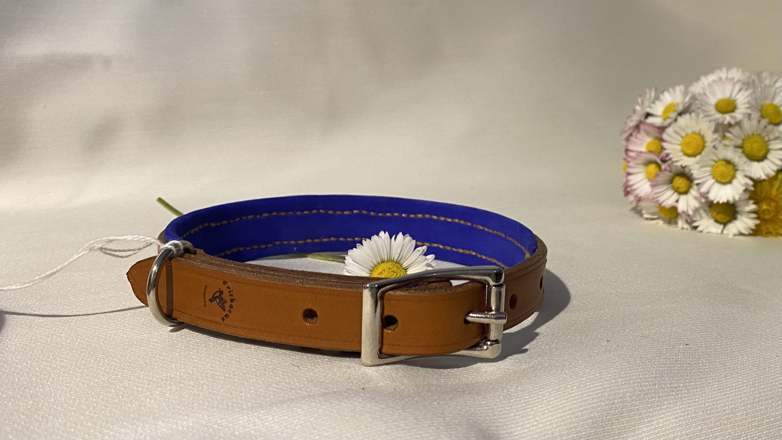 Collier Doublé pour chien Artisanal Erithacus Marron et Bleu – Image 4