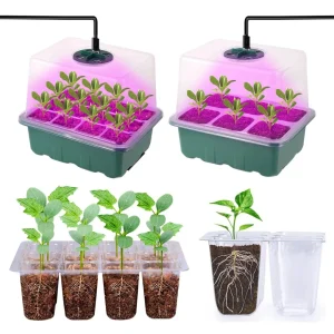 Kit plantation graines fleurs balcon été – Créez un balcon fleuri et coloré tout l&rsquo;été sans effort