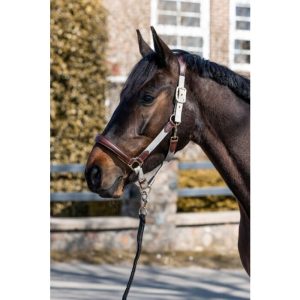 Licol -Luna- cuir et nylon Marron – 12742