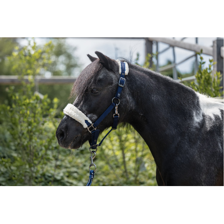 Licol Mia pour shettys HKM – Marine