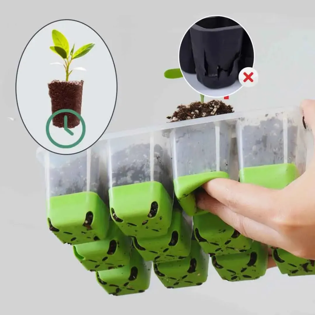 Plateau semis alvéolé avec couvercle transparent – Germination rapide et protégée – Idéal jardinage facile et réussi – Image 6