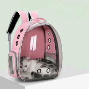 Sac transport chat