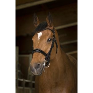 Bride Norton Pro cuir rond avec rênes – COB-303031202