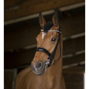 Bride Norton Pro Shiny Noir avec rênes – Cob – 303033202