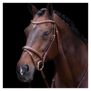 Bridon HV Polo Legacy Brun avec rênes – Cob – 1201093500