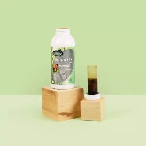 Nutriflex 500ml Ravene